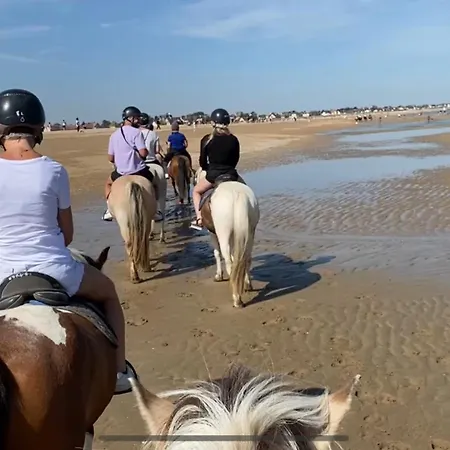 Lovely Normandy Charmante *