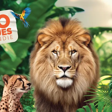 Lovely Normandy Charmante * La Bigne