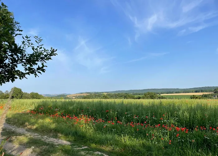 Lovely Normandy Charmante Villa La Bigne