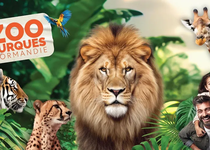 Lovely Normandy Charmante * La Bigne